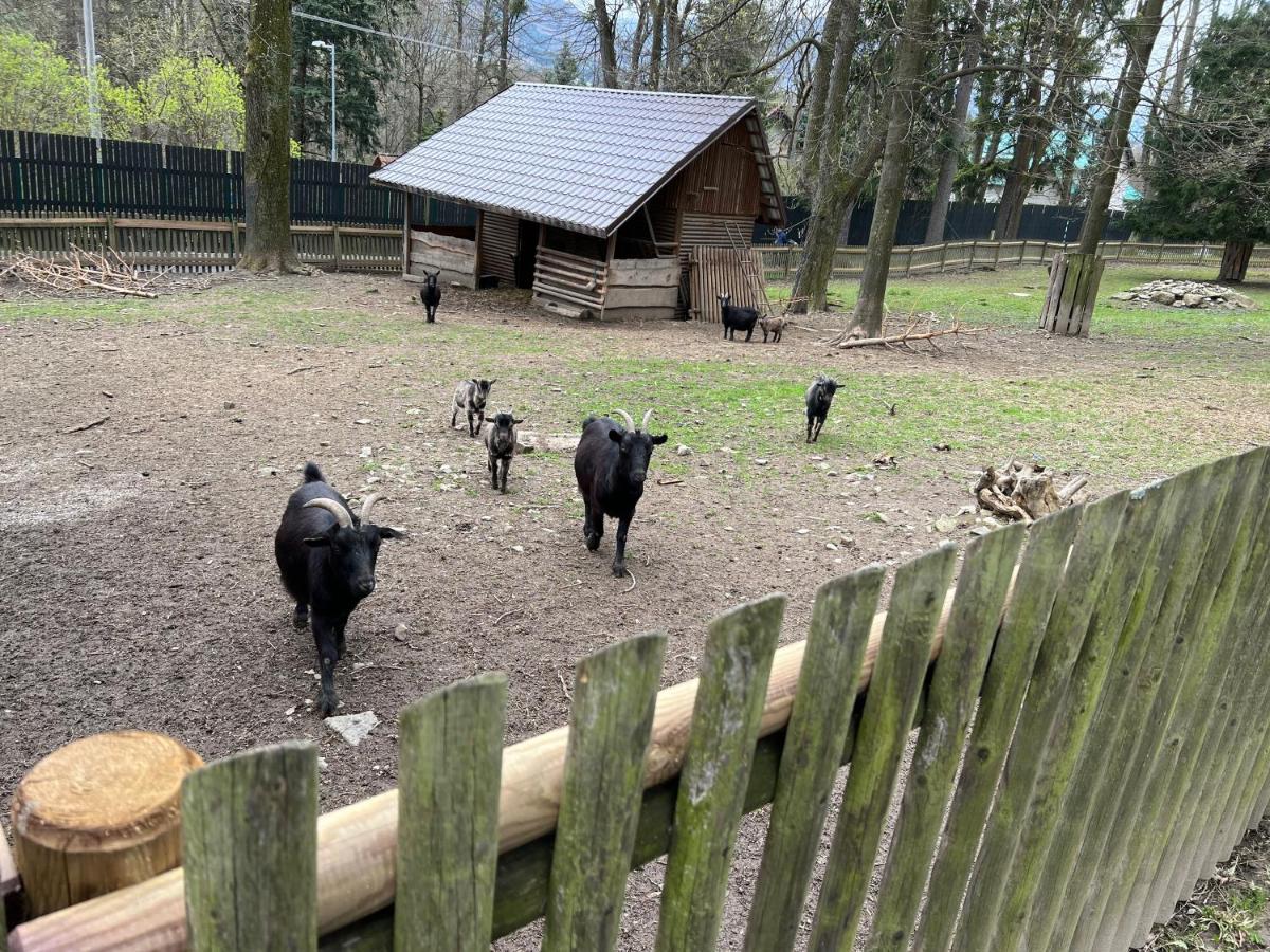 Ubytování Čeladná